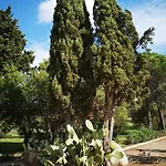 Lejlighed Cala Sultana -baie Santa Giulia - Rez Jardin 1ere Ligne