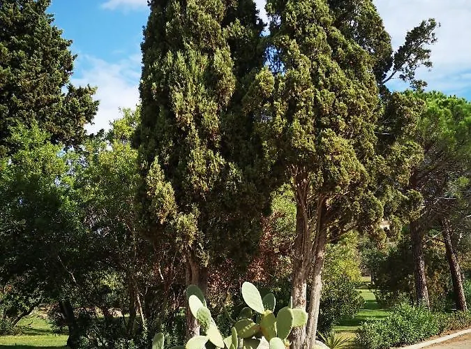 Апартаменты Cala Sultana -baie Santa Giulia - Rez Jardin 1ere Ligne