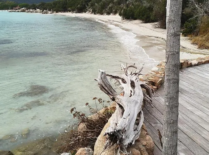 Cala Sultana -baie Santa Giulia - Rez Jardin 1ere Ligne